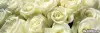 Фартук Белые розы 30006001,5мм ABS-ГЛ интерьерная панель^