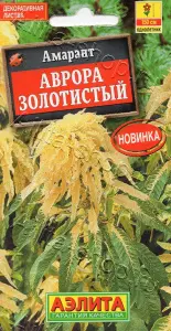 04827mmouxzcih5g5xo26oyh8gxs5jki