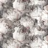 УА-00049260