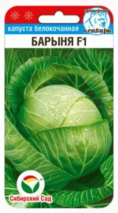 qc5ef7w1keptn29ofzqsma5j2w5o441f