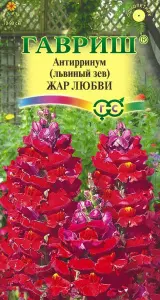 Львиный зев Жар любви 0,1г Гавриш
