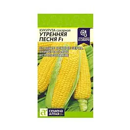 semena_kukuruza_utrennyaya_pesnya_saharnaya_f1sem_altcp_5_gr