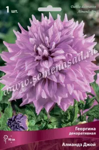 Георгина декоративная Алмандз Джой (нежный, светло-лиловый, 1шт, I)