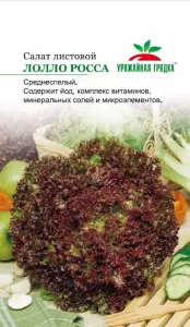 Салат листовой Лолло Росса  (Евро, 0,5; 5266) СеДеК
