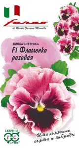 viola_flamenko_rozovaya.jpg