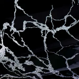 a1c78241cfe4b09fc7a59203bbe5fb07