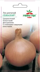 Лук репчатый Сенатор (Евро, 1; 2522) УГ(АКЦИЯ)