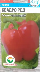 УА-00002993