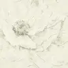 УА-00054777