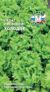 Салат листовой Холодок (Евро, 0,5; 7165) СеДеК