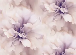 УА-00037356