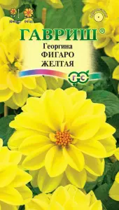 orig (5)