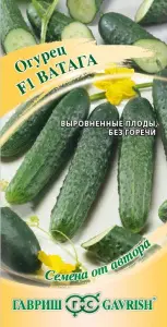 70000827.jpg