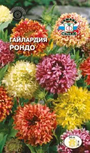 Гайлардия Рондо (вид красивая) (Евро, 0,2; 2051) СеДеК