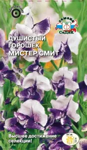 Душистый Горошек Мистер Смит (Мачмейкер, фиолетово-лилово-белый) (Евро, 0,5; 8153) СеДеК