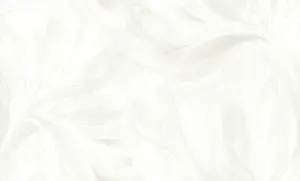 УА-00042319