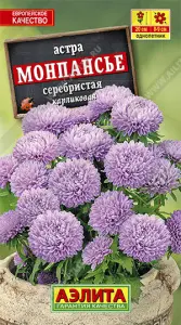 Астра Монпансье серебристая Аэлита цв