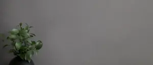 УА-00049521