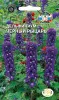 Дельфиниум Черный рыцарь (многолетний, темно-синий) (Евро, 0,1; 3466) СеДеК