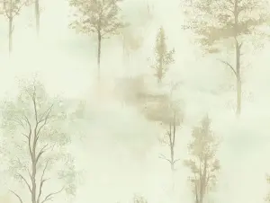 УА-00053557
