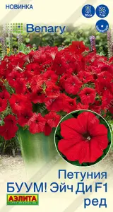 0b1ef864_879b_11ef_812d_0cc47adb9c64_223cc37e_f453_11ef_8137_0cc47adb9c64