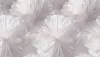УА-00050046