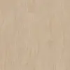 УА-00040281