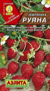 Земляника Руяна альпийская Аэлита цп