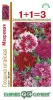 Гвоздика китайская махровая смесь  0,6гр10 ГШцветы