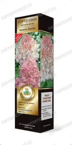 gorten_metel_vanille_fraise_3D