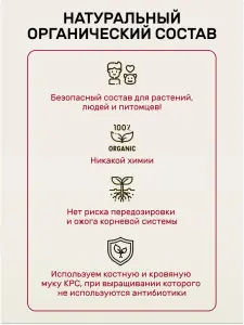 10_00023107