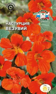 Настурция Везувий ( низкорослая,оранжево-розовая) (Евро, 1; 6213-21)