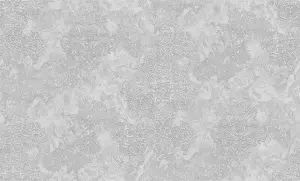 УА-00044288