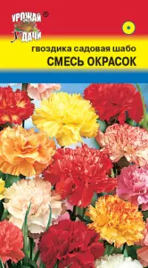 Гвоздика Шабо Садовая смесь Урожай удачи