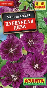 5a3061ec_a2b7_11e7_af3b_e4115badda84_9820d261_749c_11ed_810f_0cc47adb9c64