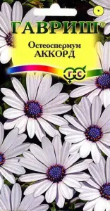 Остеоспермум Аккорд 0,1-0,2г Гавриш (10)