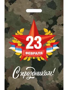 ПИ-8306