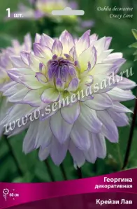 Георгина декоративная Крейзи Лав IК