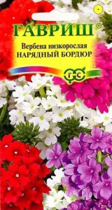 Вербена низкая Нарядный бордюр  0,1гр  10 Гавриш