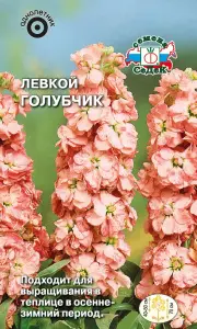 Левкой Голубчик (маттиола седая) (Евро, 0,1; 4704-20) СеДеК