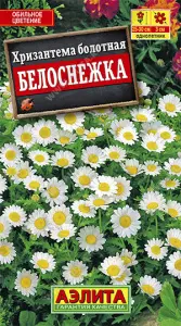 Хризантема Белоснежка 0,1гр Аэлита (10)