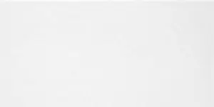 Monocolor Плитка облицовочн. бел. 2495008,5мм TWU09MNR020 (0,1245кв.м.)