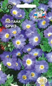 УА-00002096