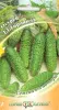 Огурец Гирлянда F1 10шт ГШ