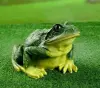 Снимок экрана_22-7-2025_11154_yandex.ru