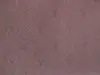 УА-00045438