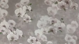 УА-00028578