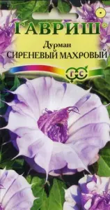 Дурман Сиреневый махровый 3-15шт ГШцветы