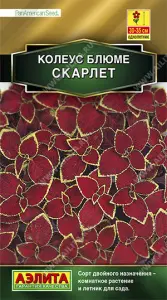 Колеус Блюме Скарлетт 10шт Аэлита цв.