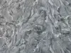 УА-00043909